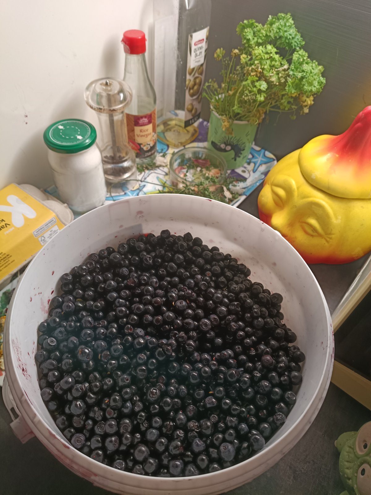 Tuoretta ja puhdistettua mustikkaa jyväskylässä
