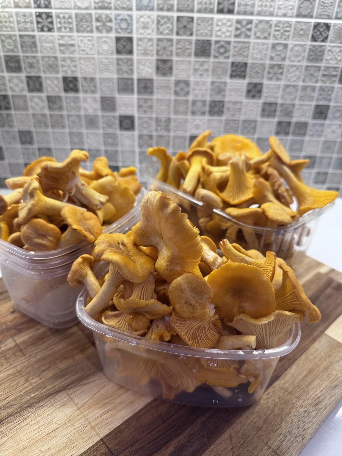 🍄‍🟫🌿 Tuoreita ja puhdistettuja kantarelleja