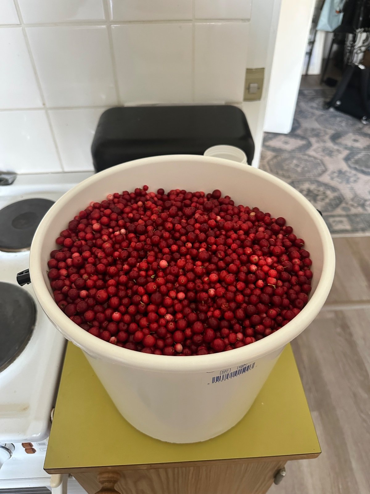 Tuoretta puolukkaa
