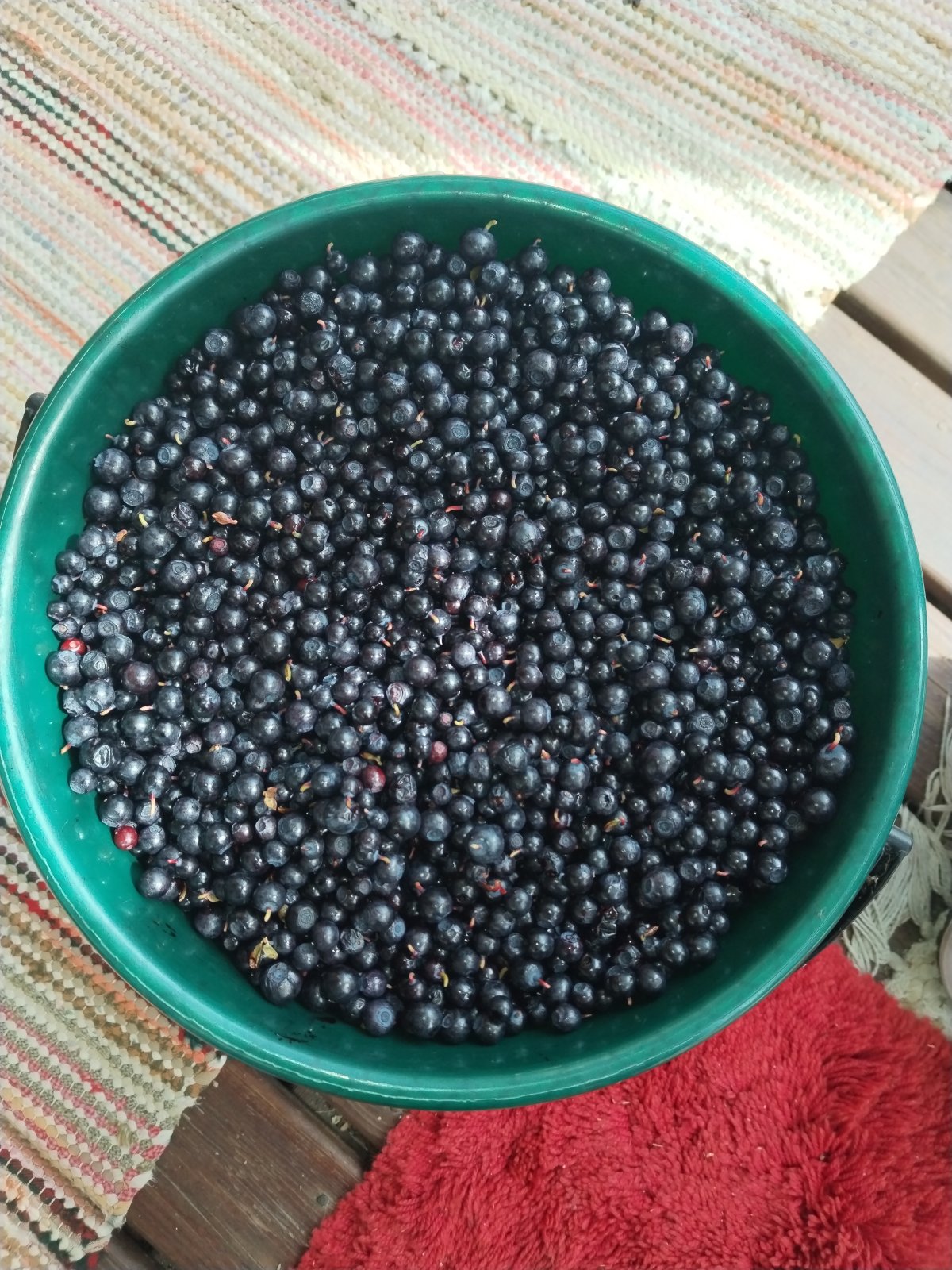Tuoreita. mustikoita