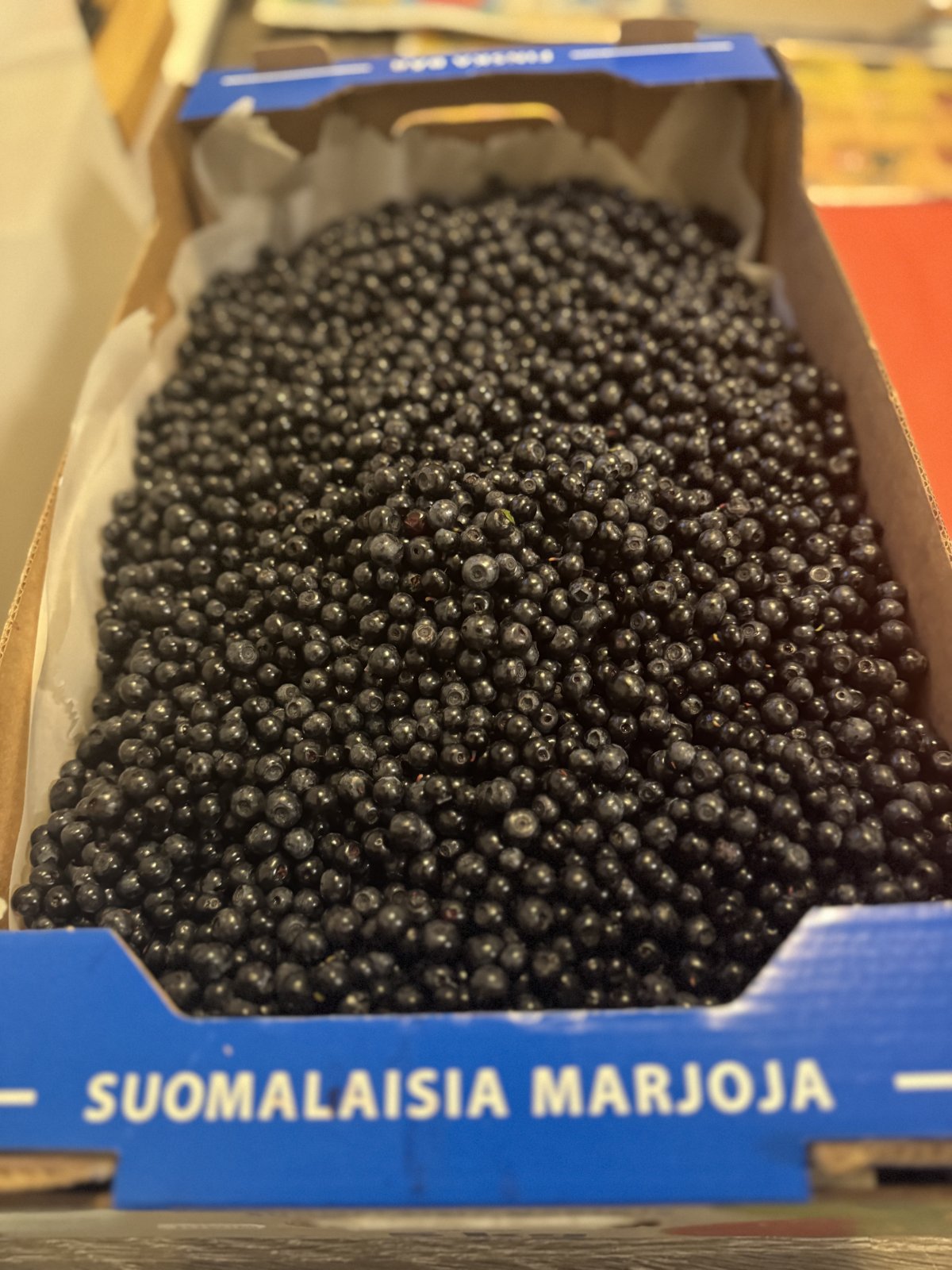 Tuoretta ja puhdasta mustikkaa-Myyrmäki-Vantaa