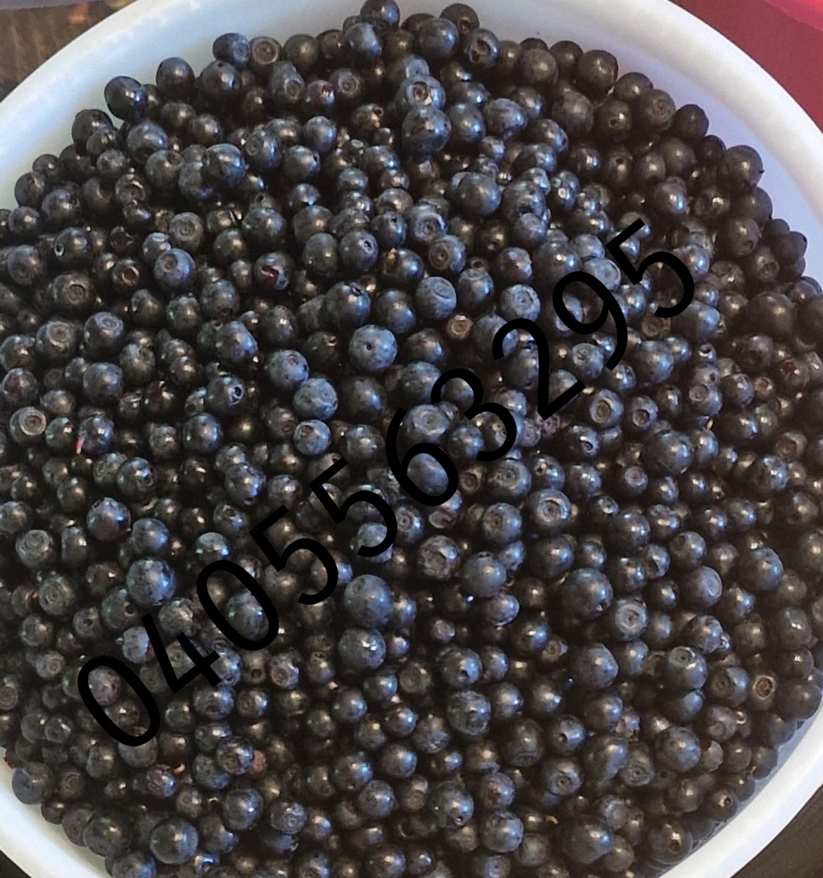 Tuoretta mustikkaa Loppi