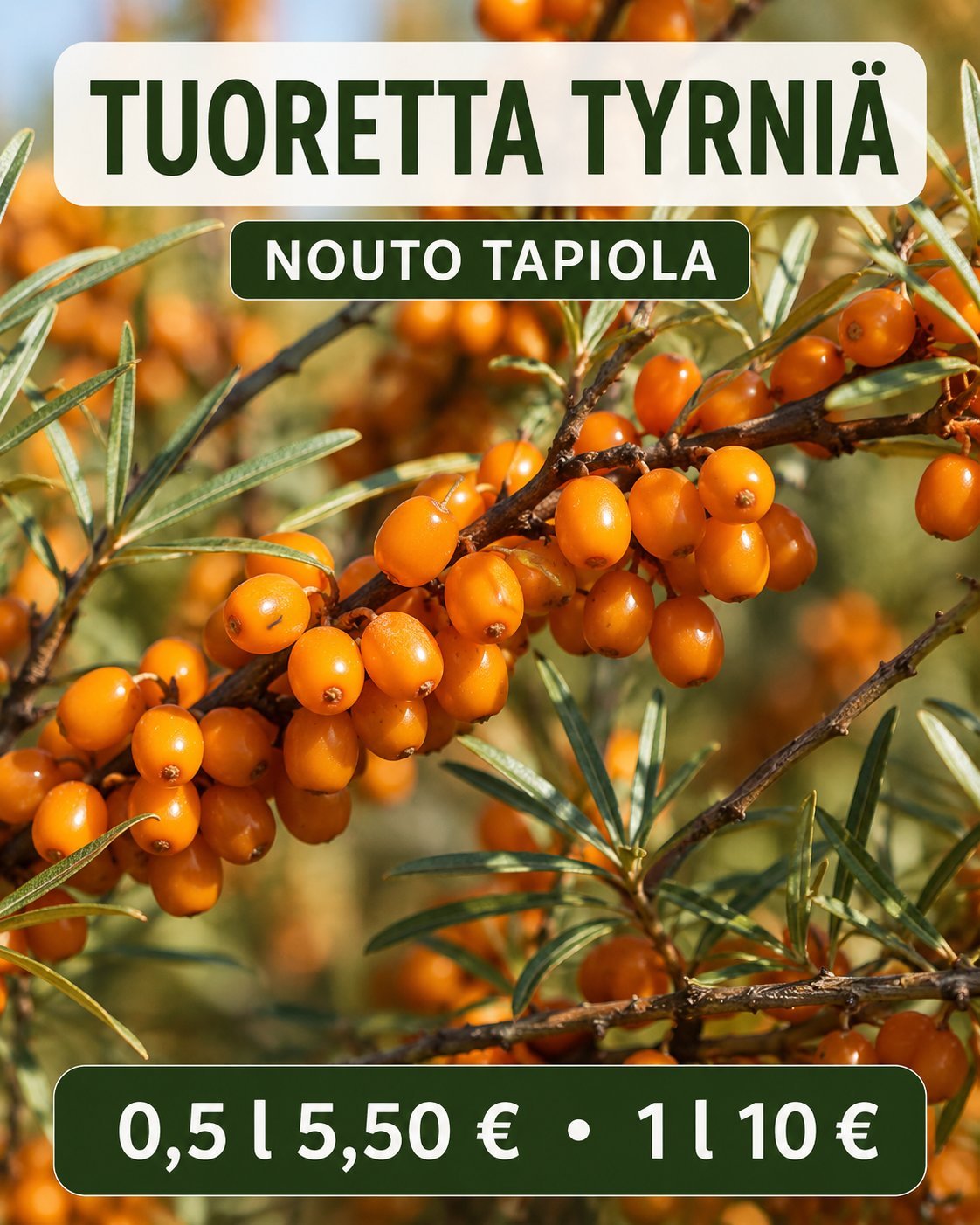 Tuotetta Tyrni Tapiolasta